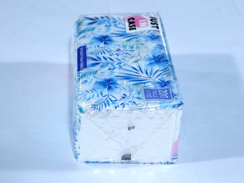 Facial Tissue 200 Pulls - Pouch