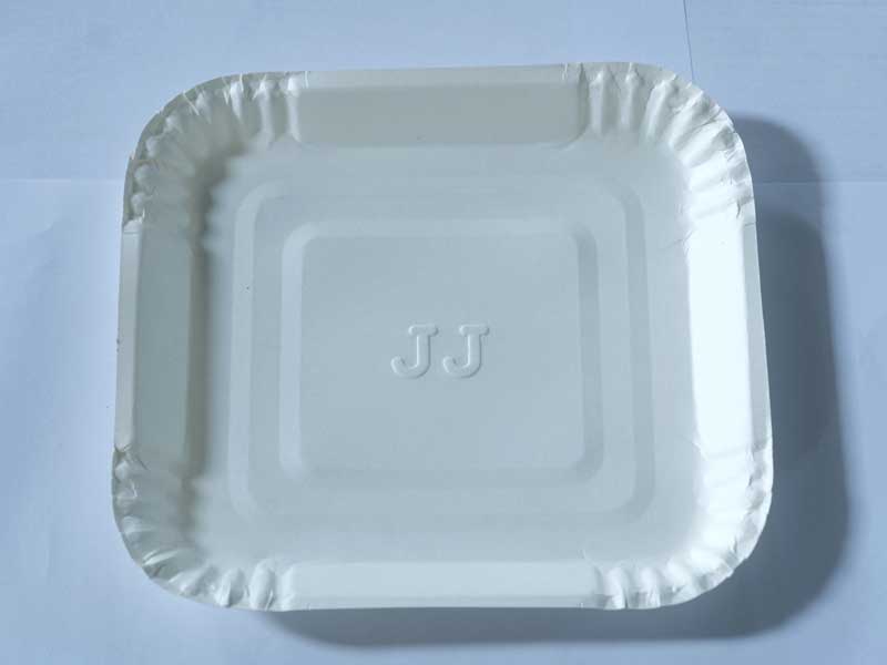 JUST IN CASE Bio paper plates