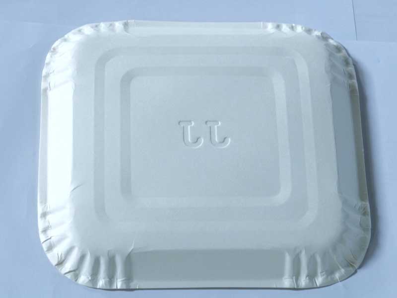 JUST IN CASE Bio paper plates