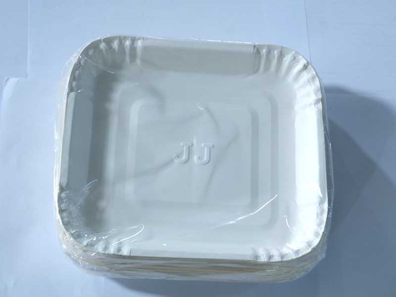 JUST IN CASE Bio paper plates