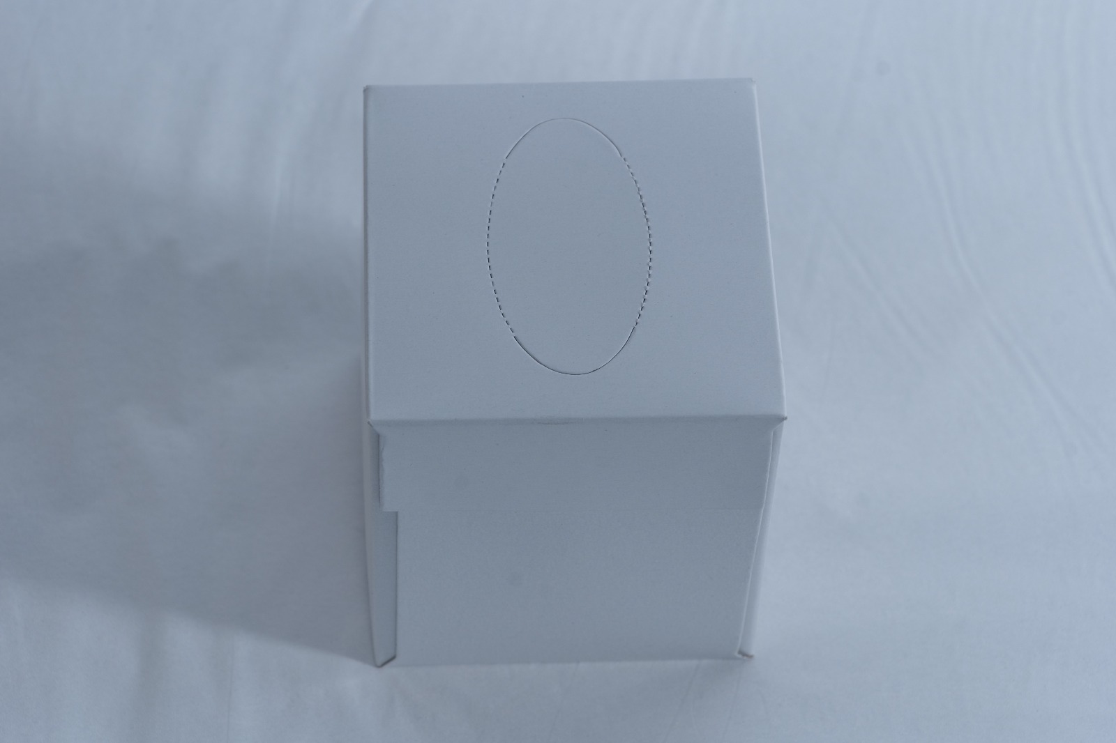 JUST IN CASE FacialTissueBoxWhiteCubeDesign