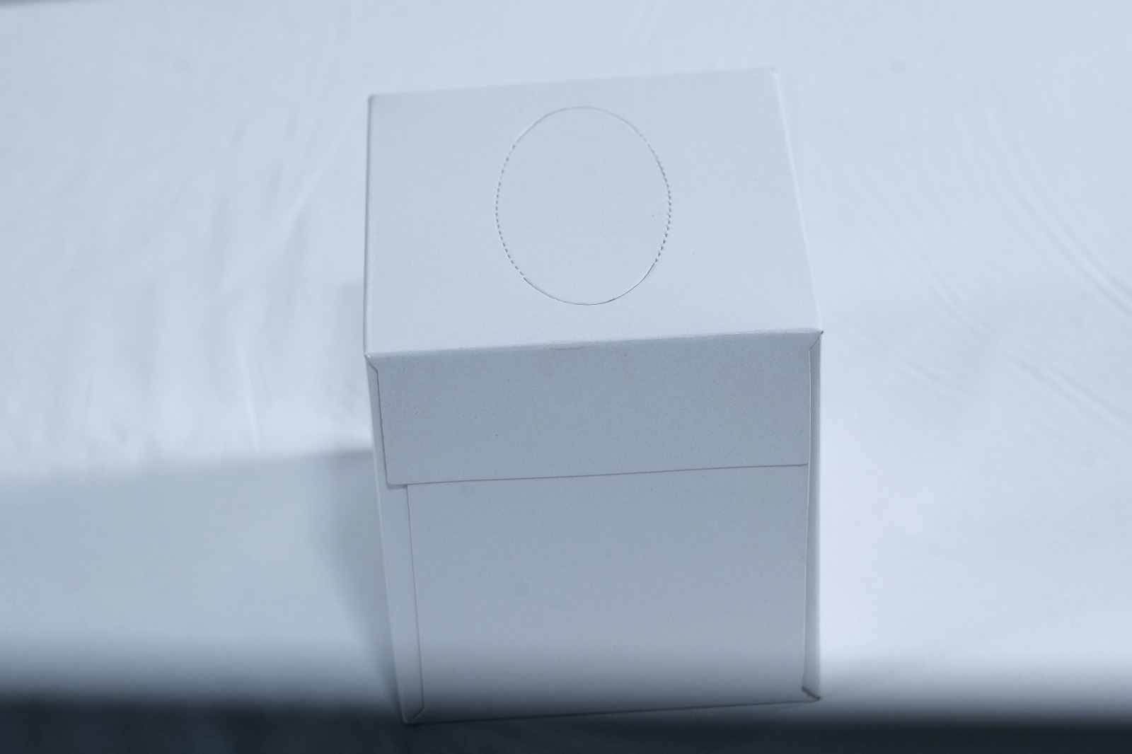 JUST IN CASE FacialTissueBoxWhiteCubeDesign