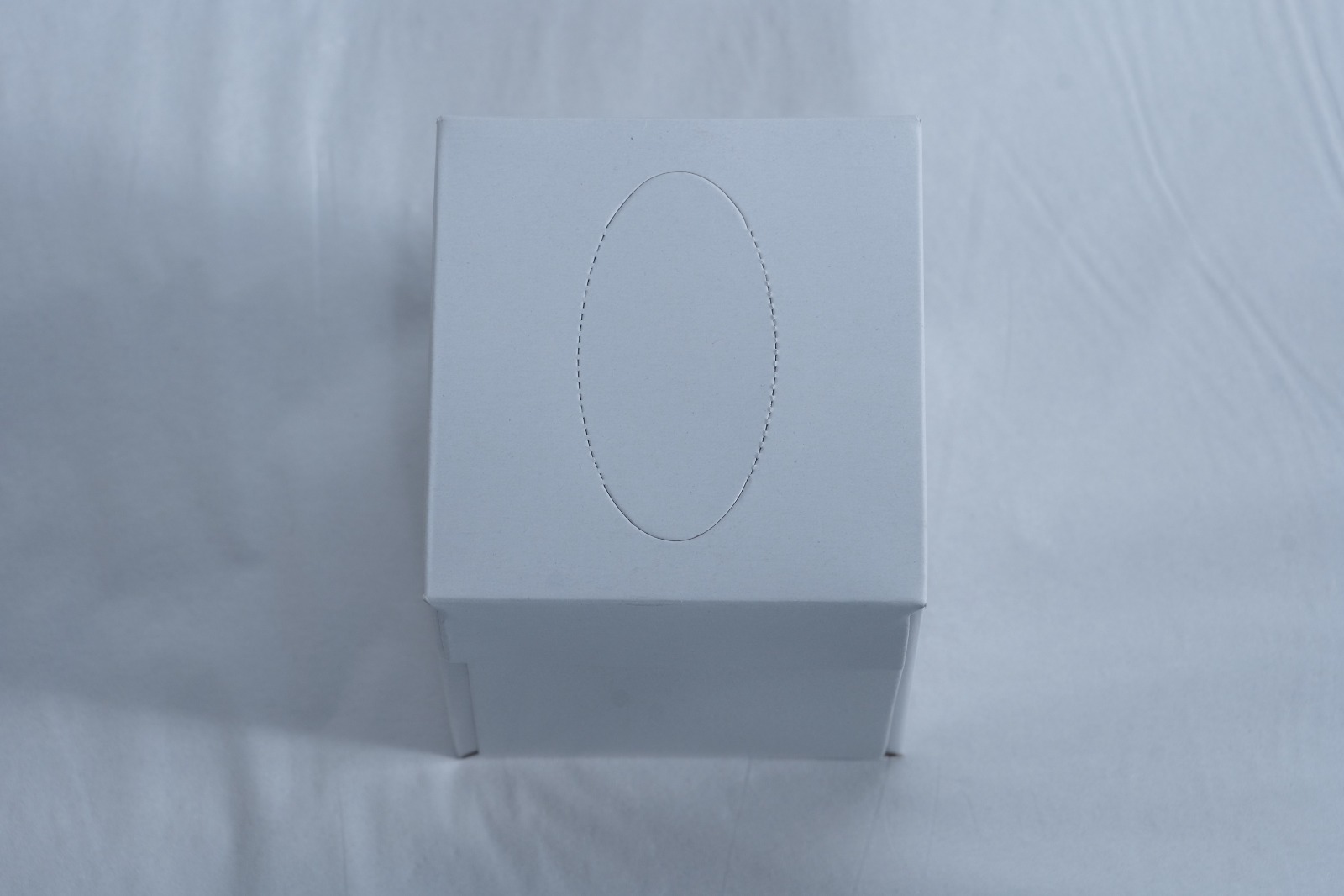 JUST IN CASE FacialTissueBoxWhiteCubeDesign