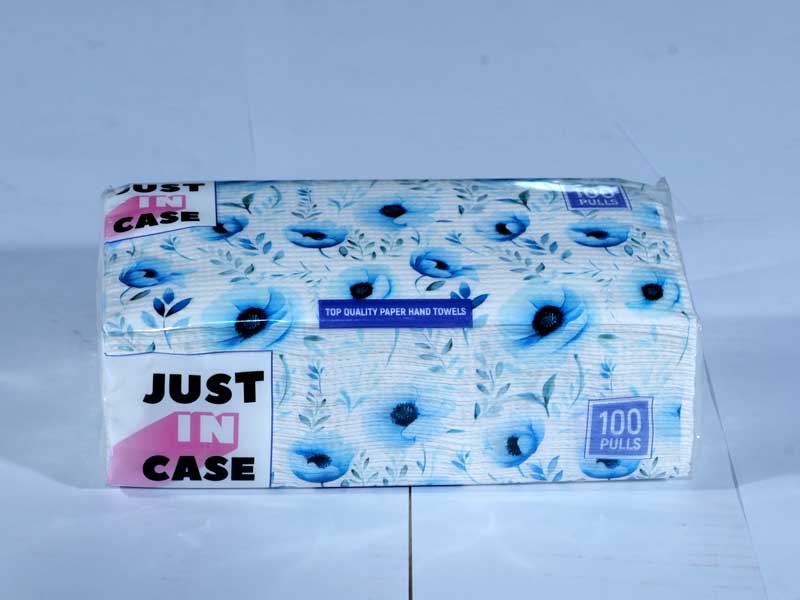 Paper Hand Towel 100 Pulls - Pouch