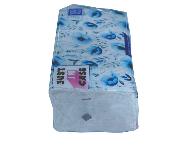 Paper Hand Towel 100 Pulls - Pouch