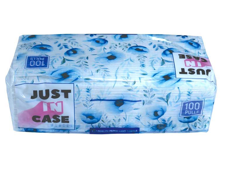 Paper Hand Towel 100 Pulls - Pouch