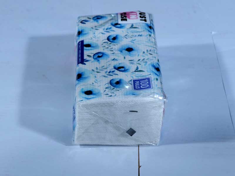 Paper Hand Towel 100 Pulls - Pouch